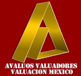 Avaluos Valuadores y Valuación Mexico. 
