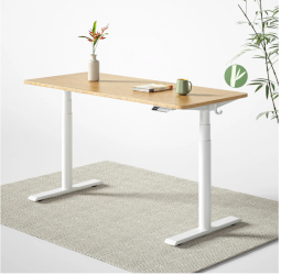 https://www.fezibo.com/collections/standing-desk